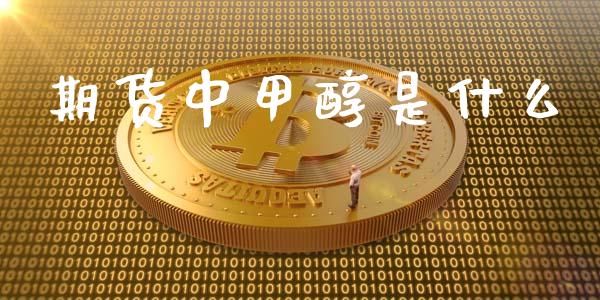 期货中甲醇是什么_https://wap.ycdhulan.com_财务投资_第1张