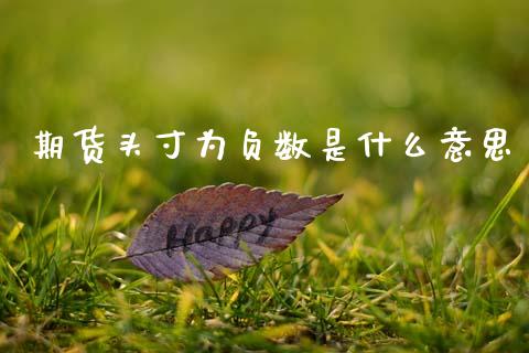 期货头寸为负数是什么意思_https://wap.ycdhulan.com_货币市场_第1张