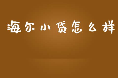 海尔小贷怎么样_https://wap.ycdhulan.com_货币市场_第1张