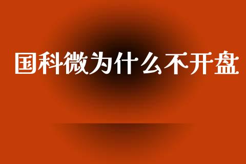 国科微为什么不开盘_https://wap.ycdhulan.com_财务投资_第1张