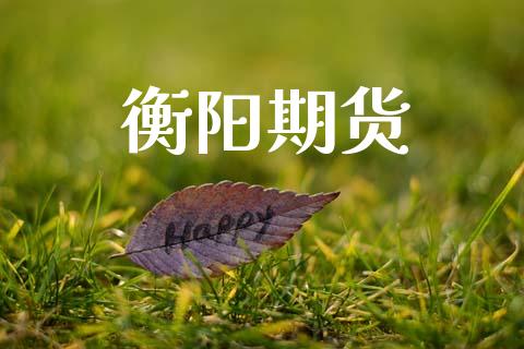 衡阳期货_https://wap.ycdhulan.com_投资基金_第1张