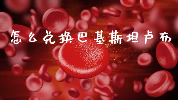 怎么兑换巴基斯坦卢布_https://wap.ycdhulan.com_财务投资_第1张