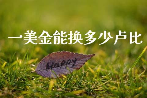 一美金能换多少卢比_https://wap.ycdhulan.com_国际财经_第1张