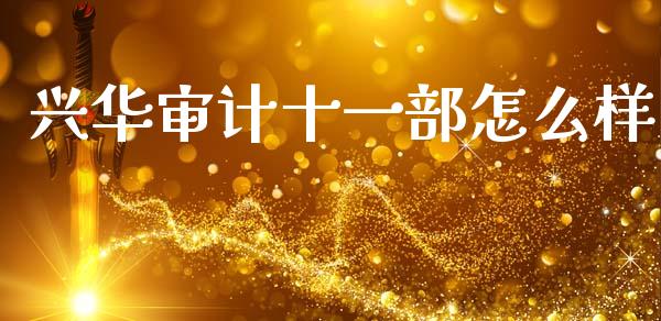 兴华审计十一部怎么样_https://wap.ycdhulan.com_财务投资_第1张
