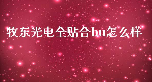 牧东光电全贴合bu怎么样_https://wap.ycdhulan.com_投资基金_第1张