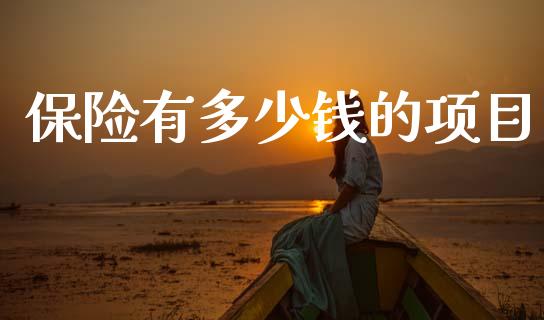 保险有多少钱的项目_https://wap.ycdhulan.com_投资基金_第1张