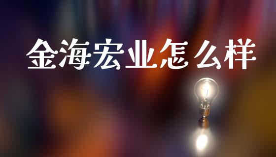 金海宏业怎么样_https://wap.ycdhulan.com_货币市场_第1张