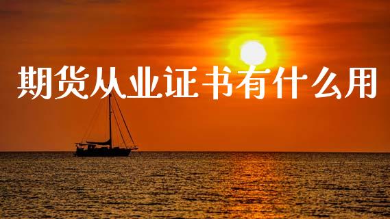 期货从业证书有什么用_https://wap.ycdhulan.com_货币市场_第1张