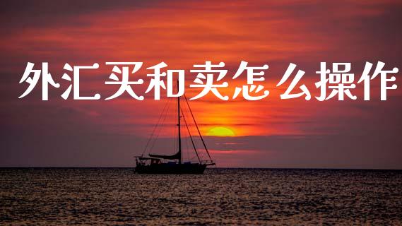 外汇买和卖怎么操作_https://wap.ycdhulan.com_国际财经_第1张
