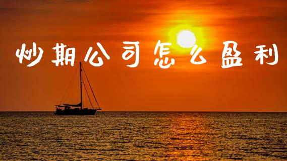 炒期公司怎么盈利_https://wap.ycdhulan.com_金融咨询_第1张
