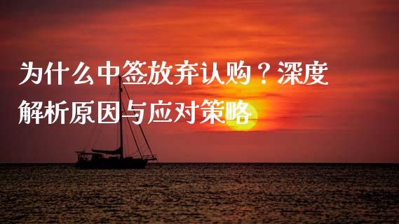 为什么中签放弃认购？深度解析原因与应对策略_https://wap.ycdhulan.com_投资基金_第1张