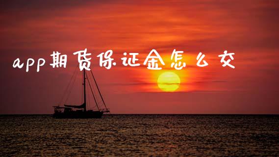 app期货保证金怎么交_https://wap.ycdhulan.com_财务投资_第1张