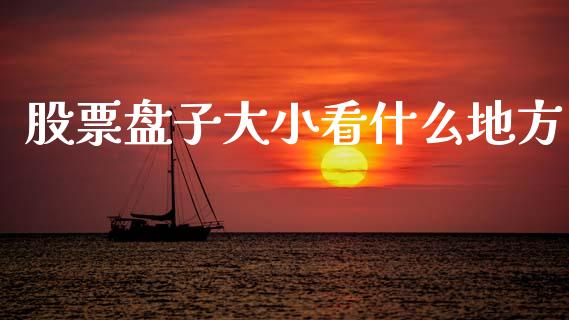 股票盘子大小看什么地方_https://wap.ycdhulan.com_货币市场_第1张