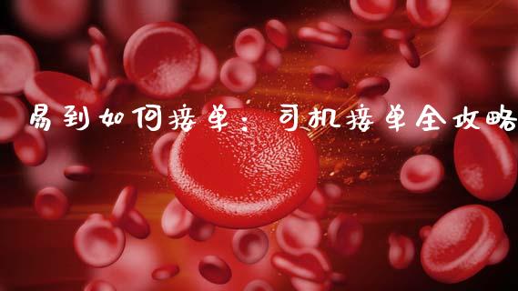 易到如何接单：司机接单全攻略_https://wap.ycdhulan.com_财务投资_第1张