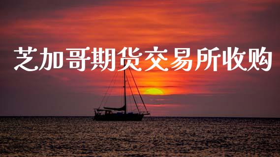 芝加哥期货交易所收购_https://wap.ycdhulan.com_货币市场_第1张