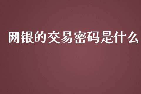 网银的交易密码是什么_https://wap.ycdhulan.com_财经新闻_第1张