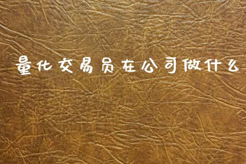 量化交易员在公司做什么_https://wap.ycdhulan.com_财务投资_第1张