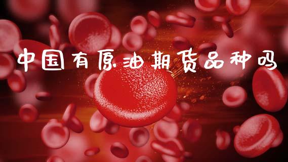 中国有原油期货品种吗_https://wap.ycdhulan.com_货币市场_第1张