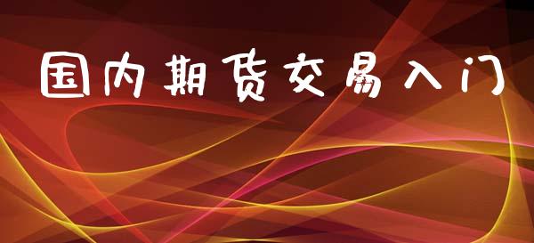 国内期货交易入门_https://wap.ycdhulan.com_货币市场_第1张