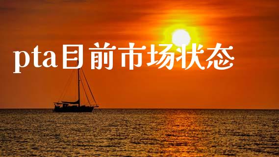 pta目前市场状态_https://wap.ycdhulan.com_金融咨询_第1张