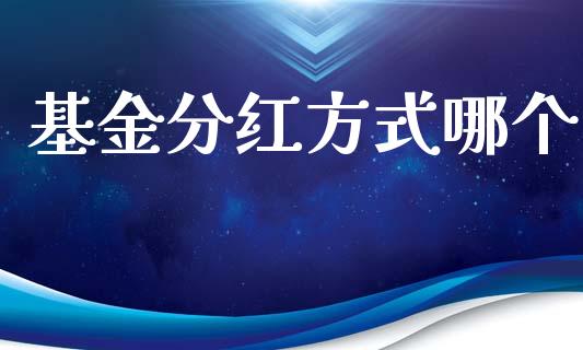 基金分红方式哪个_https://wap.ycdhulan.com_货币市场_第1张