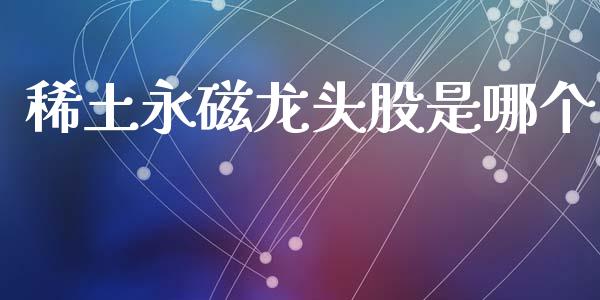 稀土永磁龙头股是哪个_https://wap.ycdhulan.com_金融咨询_第1张