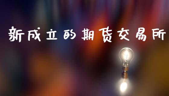 新成立的期货交易所_https://wap.ycdhulan.com_投资基金_第1张