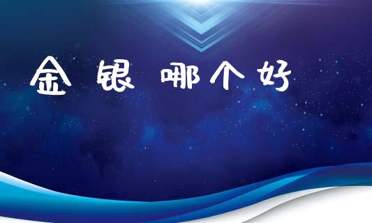金 银 哪个好_财经新闻_第1张_国际财经_财经新闻_财务投资_金融咨询_货币市场_投资基金 金 银 哪个好_https://wap.ycdhulan.com_财经新闻_第1张