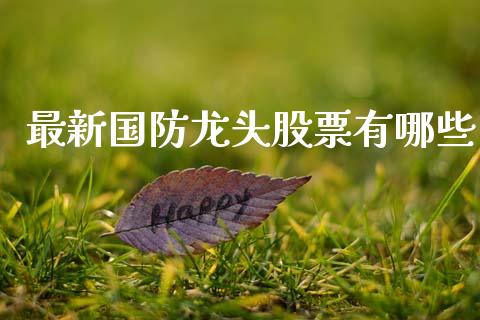 最新国防龙头股票有哪些_https://wap.ycdhulan.com_货币市场_第1张