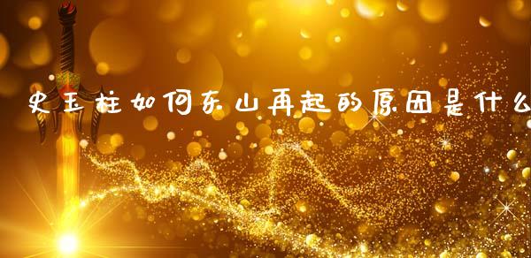 史玉柱如何东山再起的原因是什么_https://wap.ycdhulan.com_金融咨询_第1张