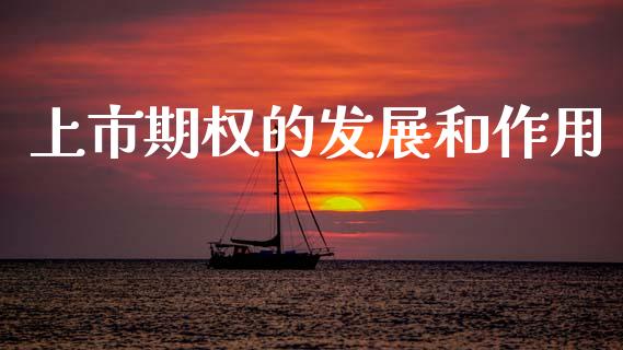 上市期权的发展和作用_https://wap.ycdhulan.com_货币市场_第1张