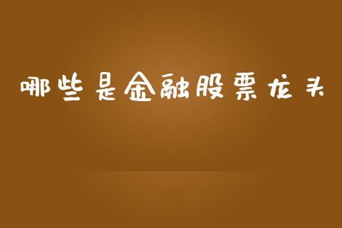 哪些是金融股票龙头_https://wap.ycdhulan.com_金融咨询_第1张