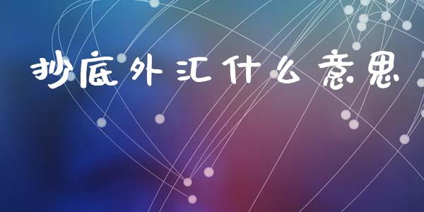 抄底外汇什么意思_https://wap.ycdhulan.com_财经新闻_第1张