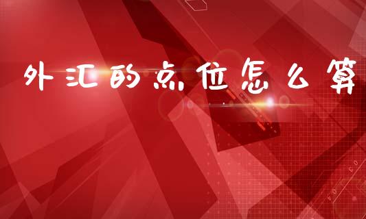 外汇的点位怎么算_https://wap.ycdhulan.com_金融咨询_第1张