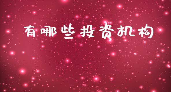 有哪些投资机构_https://wap.ycdhulan.com_金融咨询_第1张