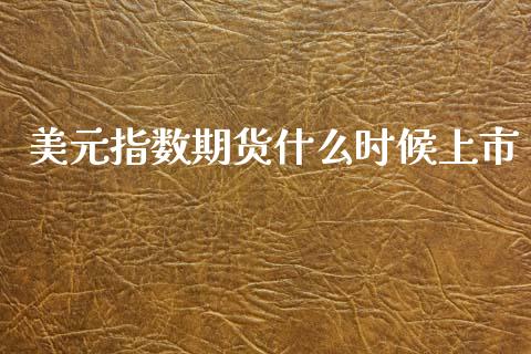 美元指数期货什么时候上市_https://wap.ycdhulan.com_货币市场_第1张