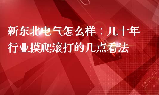 新东北电气怎么样：几十年行业摸爬滚打的几点看法_https://wap.ycdhulan.com_货币市场_第1张