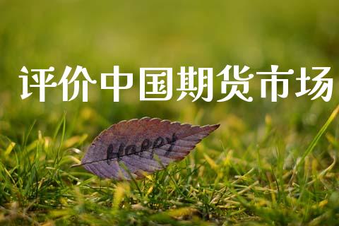 评价中国期货市场_https://wap.ycdhulan.com_投资基金_第1张
