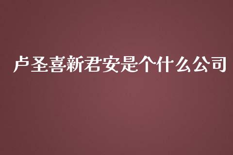 卢圣喜新君安是个什么公司_https://wap.ycdhulan.com_财经新闻_第1张