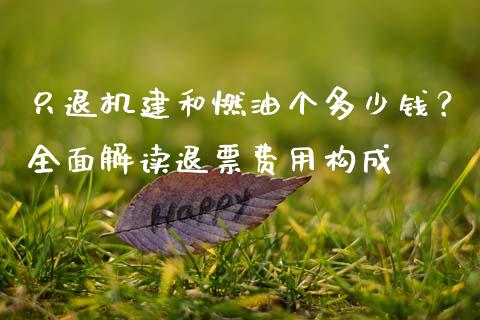 只退机建和燃油个多少钱？全面解读退票费用构成_https://wap.ycdhulan.com_投资基金_第1张