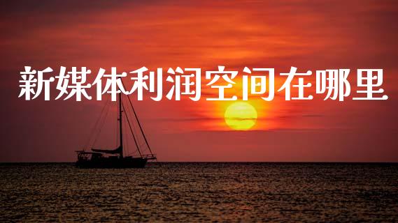 新媒体利润空间在哪里_https://wap.ycdhulan.com_金融咨询_第1张