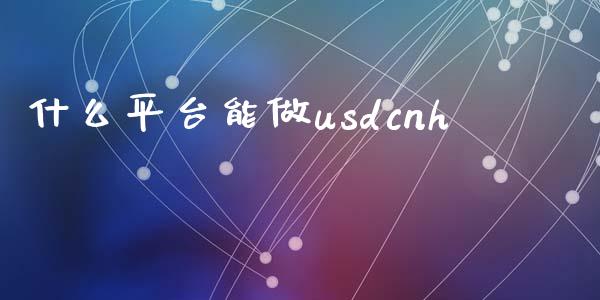 什么平台能做usdcnh_https://wap.ycdhulan.com_财务投资_第1张
