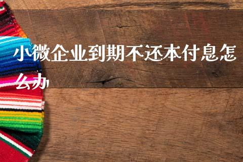 小微企业到期不还本付息怎么办_https://wap.ycdhulan.com_投资基金_第1张
