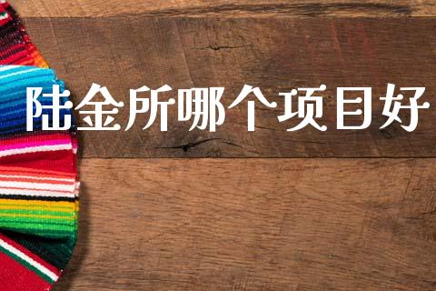 陆金所哪个项目好_https://wap.ycdhulan.com_货币市场_第1张