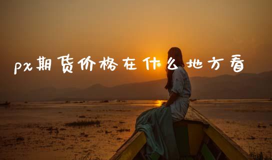 px期货价格在什么地方看_https://wap.ycdhulan.com_货币市场_第1张