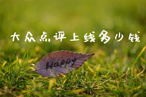 大众点评上线多少钱_https://wap.ycdhulan.com_国际财经_第1张