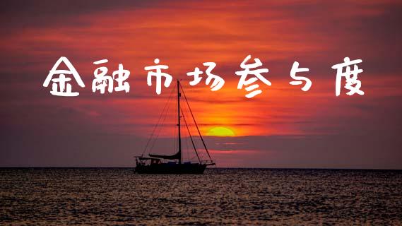 金融市场参与度_https://wap.ycdhulan.com_财务投资_第1张