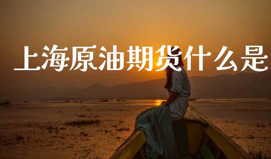 上海原油期货什么是_https://wap.ycdhulan.com_货币市场_第1张