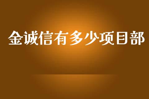 金诚信有多少项目部_https://wap.ycdhulan.com_财经新闻_第1张