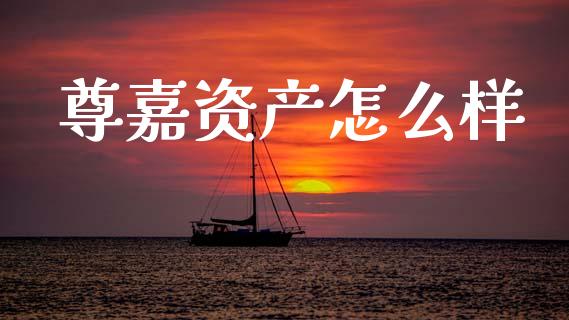 尊嘉资产怎么样_https://wap.ycdhulan.com_国际财经_第1张
